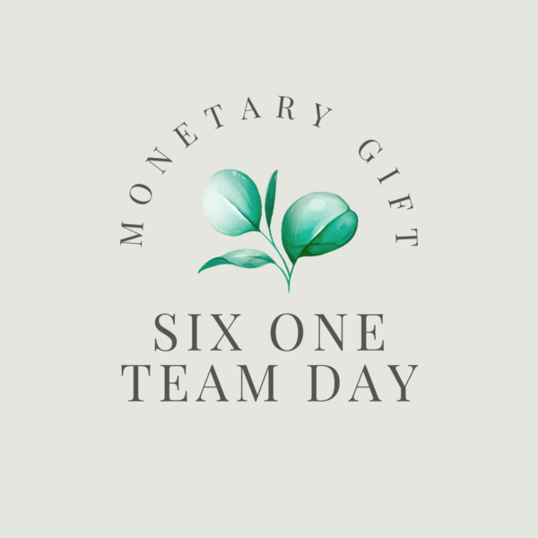 Six One Team Day